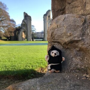 Glastonbury Abbey Benedictine Brother Bear